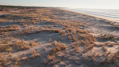 un vuelo rápido sobre dunas de arena dorada a lo largo de la costa con sol cálido