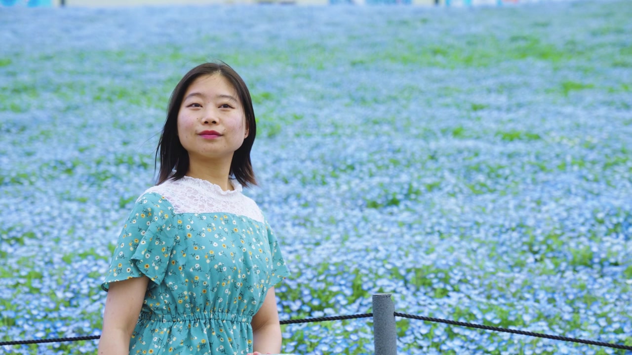 春、広大なネモフィラ畑を見つめる日本人女性。