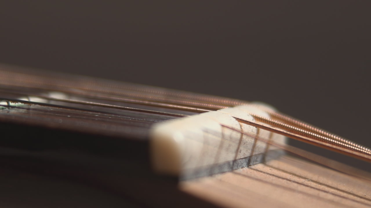 Macro View Guitar Bridge Pins And Wound Strings Anchored On Saddle With Copper Winding And Shallow Focus . Media