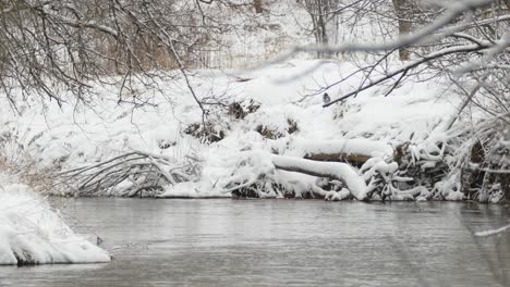 water running down calm stream surrounded by snow covered landscape