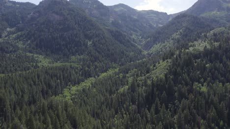 Vista-Aérea-De-Las-Montañas-Wasatch-En-El-Cañón-De-La-Bifurcación-Americana,-Utah-Durante-El-Verano---Disparo-De-Drones