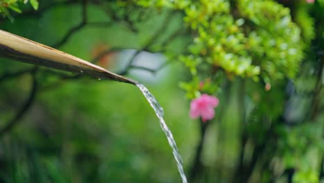water feature in a japanese garden