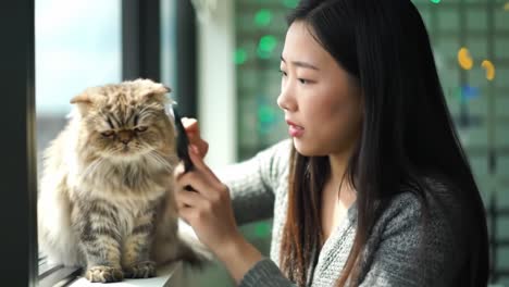 a young woman gently brushes her fluffy cat while enjoying a warm afternoon by the window, creating a moment of bonding and care in their cozy home environment