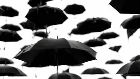 a captivating display of floating black umbrellas against a white background, creating an enigmatic and artistic atmosphere in this unique installation