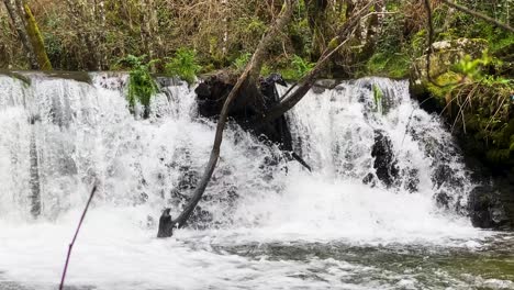 Branch-laden-Prado-Waterfall,-Ourense-spain