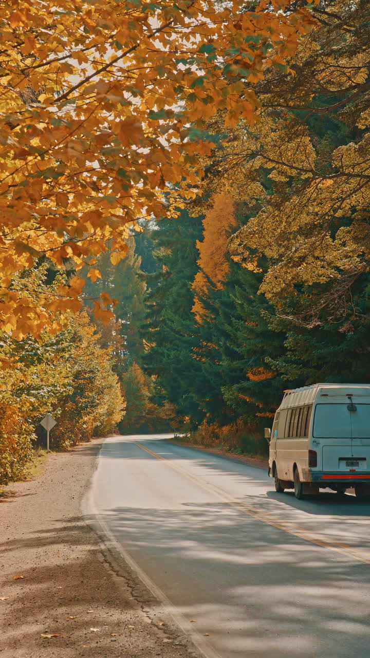 White Van Driving Down an Autumn Forest Road