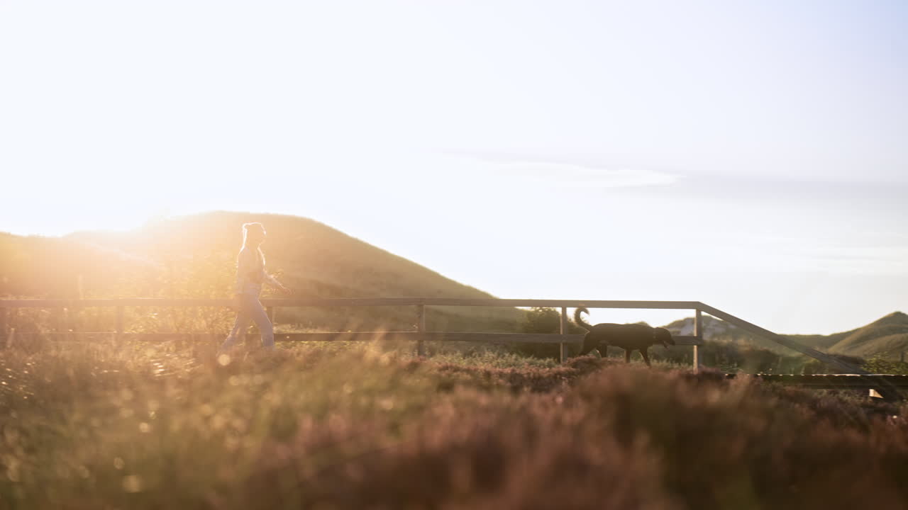 여자는 일몰과 황금 시간 동안 국립 공원에서 그녀의 개를 산책