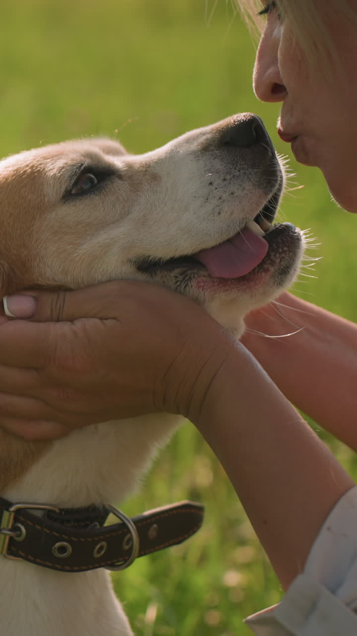 el dueño del perro sostiene la cabeza del perro suavemente, sonriendo mientras el perro la mira con la lengua en un vasto campo de hierba en un día soleado, representando un vínculo amoroso entre el dueño y la mascota, rodeado de hierba verde exuberante