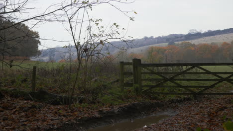 a panning shot of a closed wooden gate on a pathway in the english countryside, on a grey day