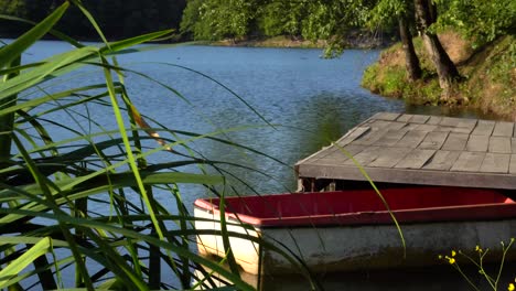 old row boat docking on the side of calm lake on sunny day