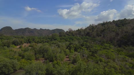 manglares vista del río vegetación exuberante cielo nublado