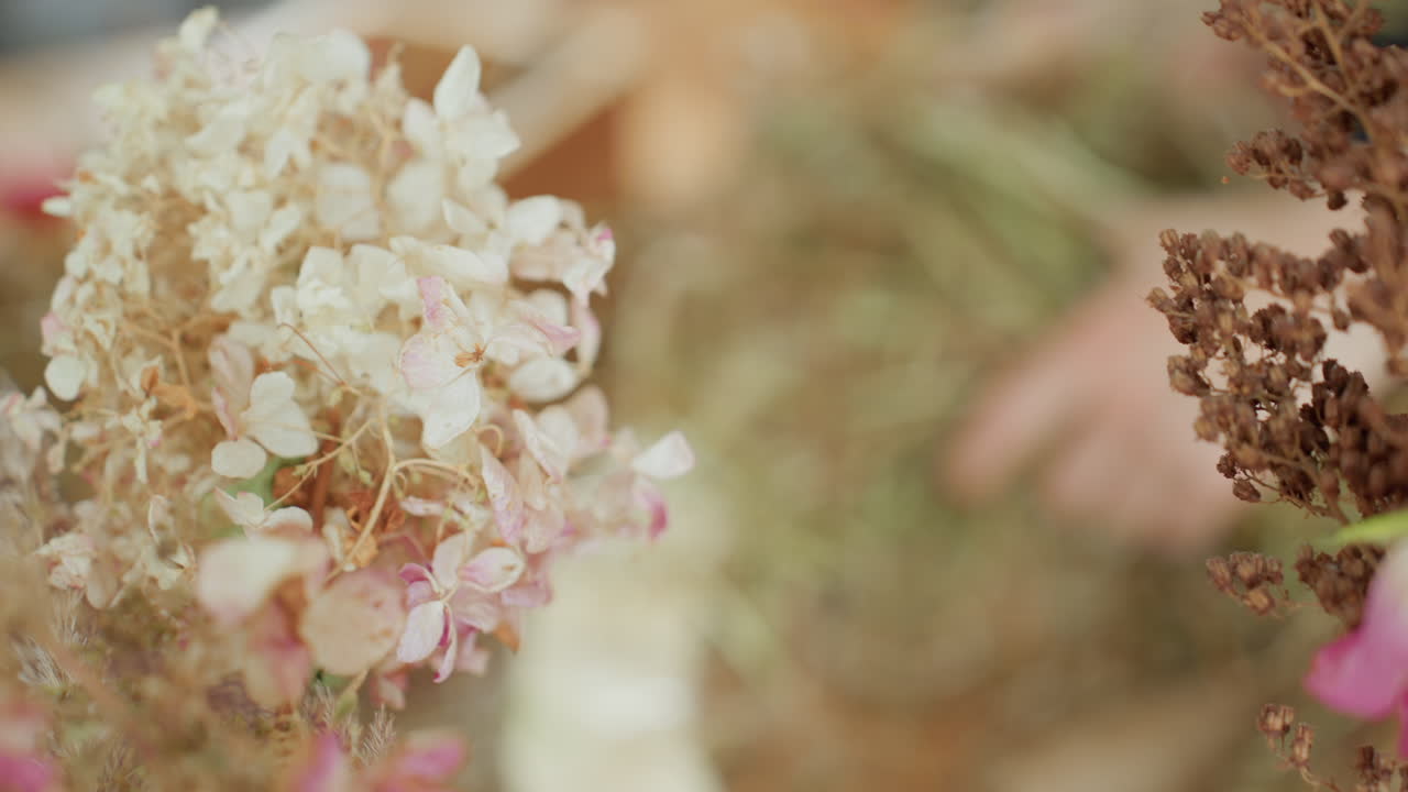 Decorator preparing dried hydrangea blossoms for handmade wreath design, delicate petals with soft white and pink tones arranged with rustic organic style, natural decoration with artistic craft