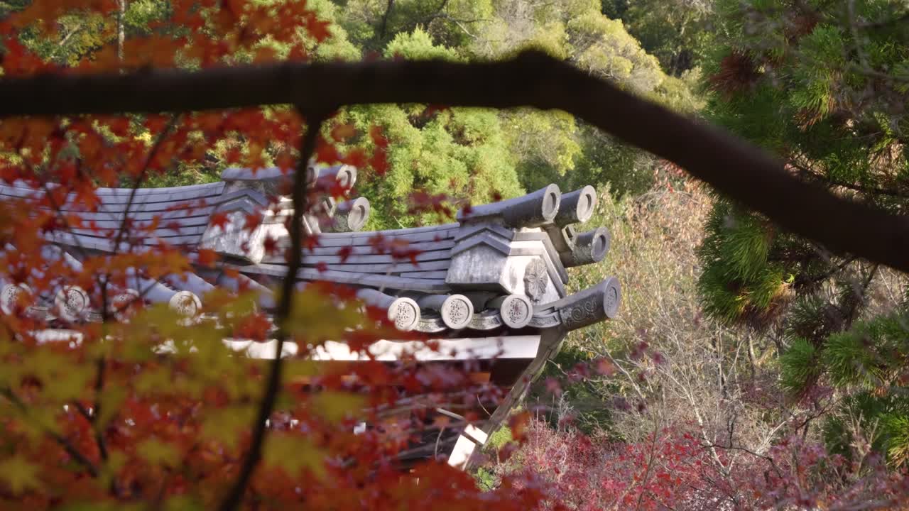 Close up slider over fall color rooftop flanked by autumn colors