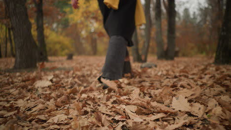 back leg view of an individual playfully scattering dry leaves while walking through a forest, dressed in canvas shoes and black jeans, amidst a carpet of fallen autumn foliage