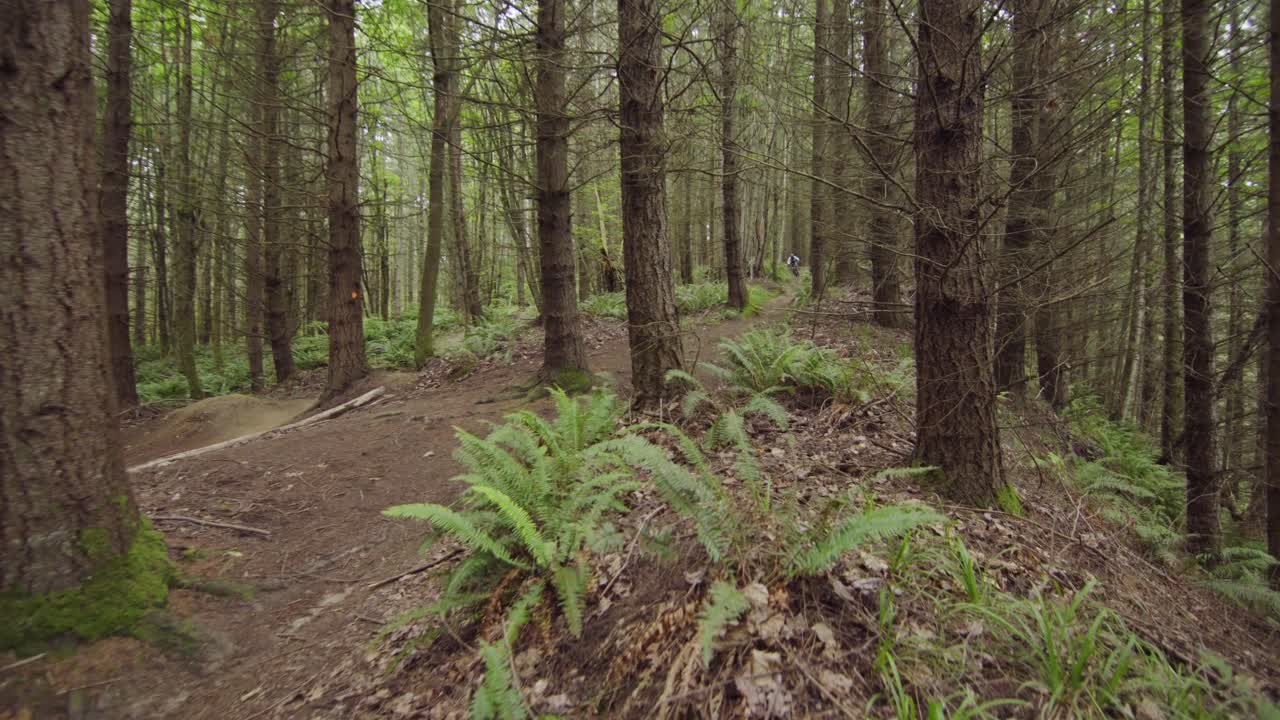 ciclista de montaña triturando a alta velocidad en una pequeña pista forestal, deporte extremo