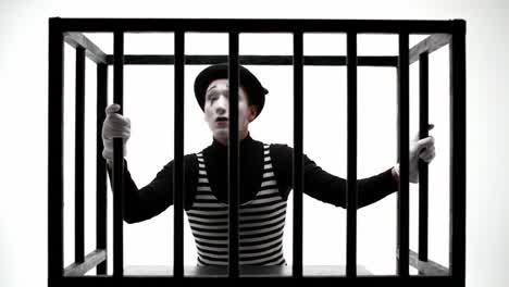 mime in a cage