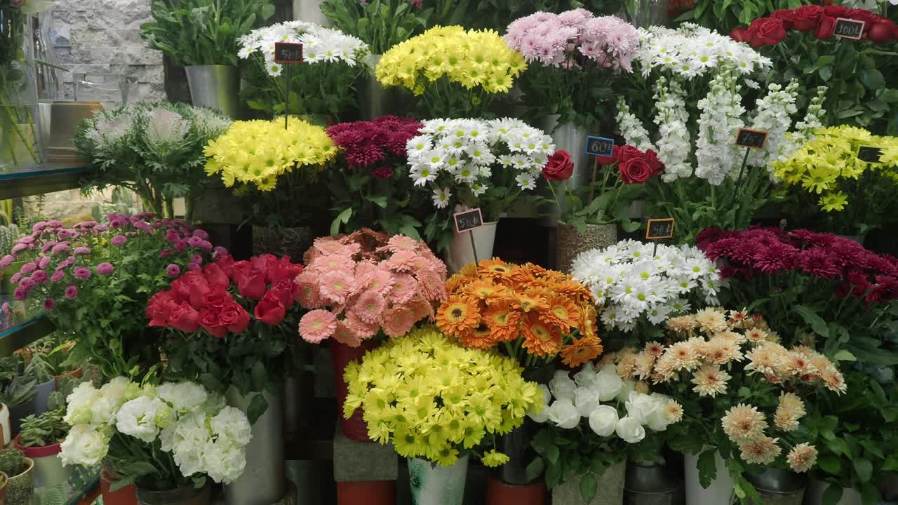 hermosas flores en exhibición en una floristería