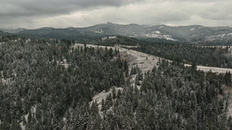 Gloomy-Atmosphere-In-Forest-Mountain-Near-Sun-Valley-During-Winter-In-Idaho,-USA