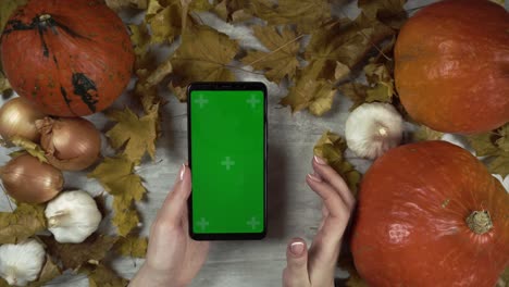 woman moves cellphone with green screen and taps and swipes screen with right hand