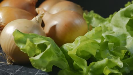 close-up, rotation, juicy green salad leaves and golden onions, rotate