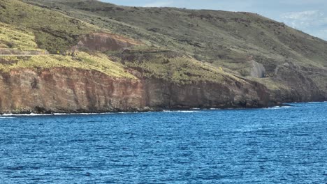 Grupo-De-Ballenas-Jorobadas-Acercándose