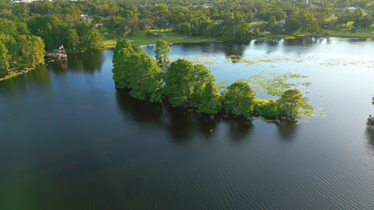 Small strip of trees growing in river water, aerial peaceful setting, tilt up as birds fly below. Aerial Pull back and tilt up