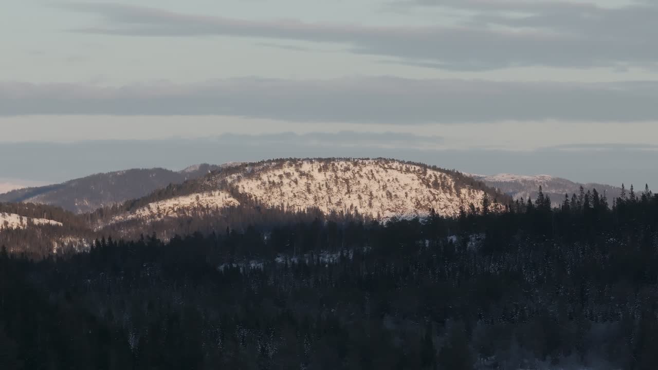 숲의 나무와 눈이 쌓인 산은 겨울에 구름이 가득한 하늘을 배경으로