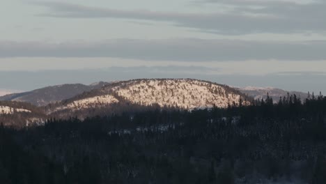 árboles del bosque y montañas de nieve durante el invierno contra el cielo nublado