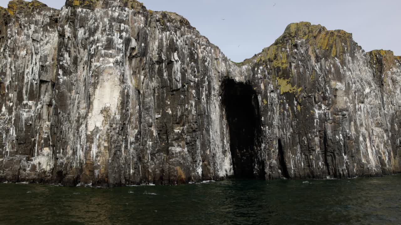 Birds flying around cliffs and caves at the Isle of May at breeding season