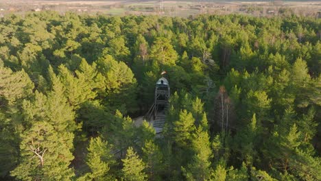 vista aérea de pájaro de la moderna torre de observación en forma de barco en medio del bosque de pinos, bosque nórdico, sendero forestal, tarde soleada, luz de la hora dorada, amplia toma en órbita de drones