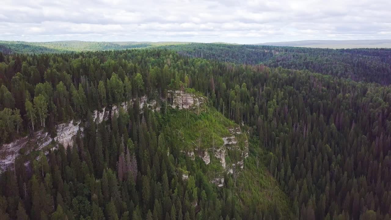 Aerial View of a Mountainous Forest Landscape
