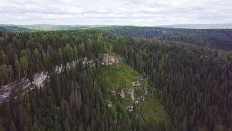 vista aérea de un paisaje forestal montañoso