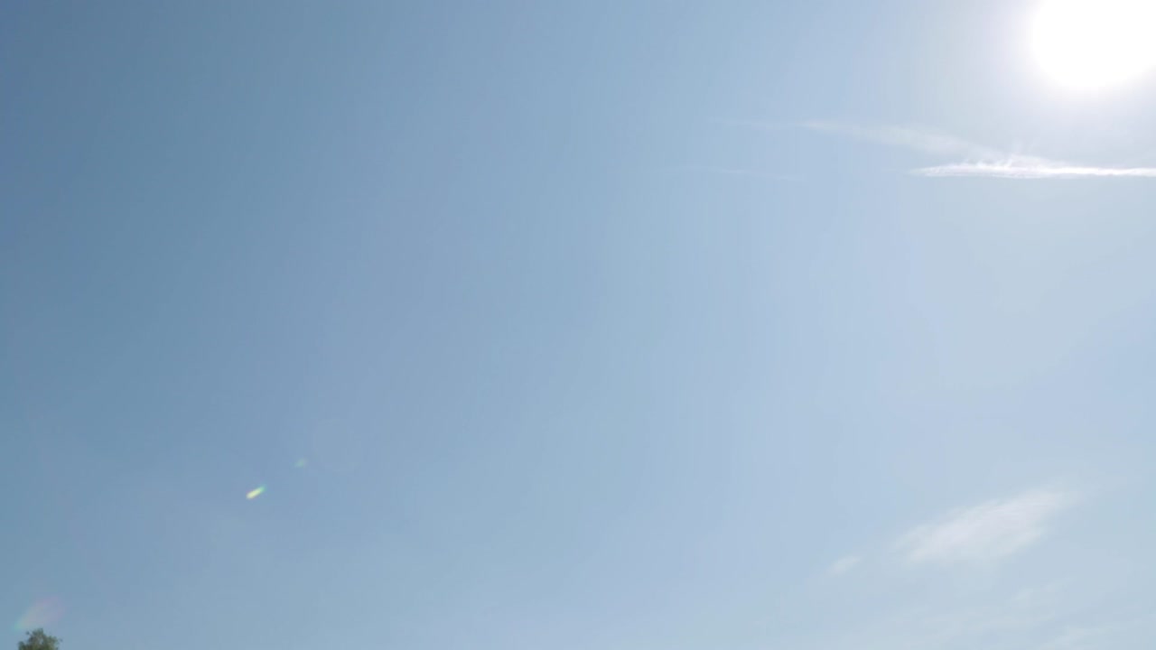 페리스  과 호수 가 있는 공원