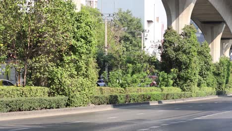 white delivery truck moving along a tree-lined street