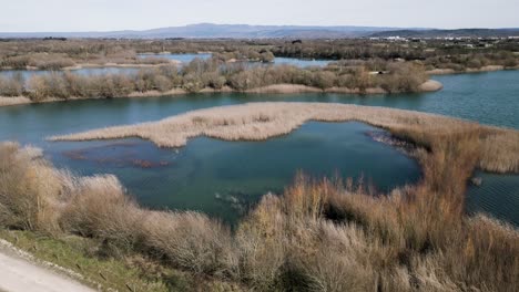 Silty-sandy-patterns-in-reed-filled-water-of-ancient-Antela-lagoon-Areeiras-da-Limia-in-Xinzo-de-Limia-Ourense-Galicia-Spain