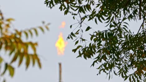 Quemado-De-Gas-Natural-Borroso-En-El-Fondo-Entre-Los-árboles-Con-Las-Llamas-Naranja-Ardiendo