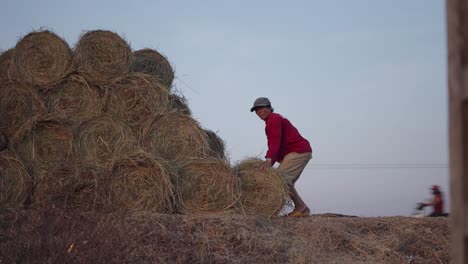 agricultor que trabaja en un campo