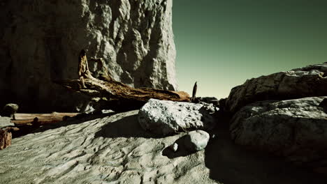 Hyperlapse-of-deserted-beach-and-rocky-cliff