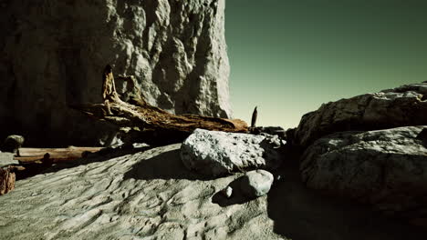 hyperlapse of deserted beach and rocky cliff