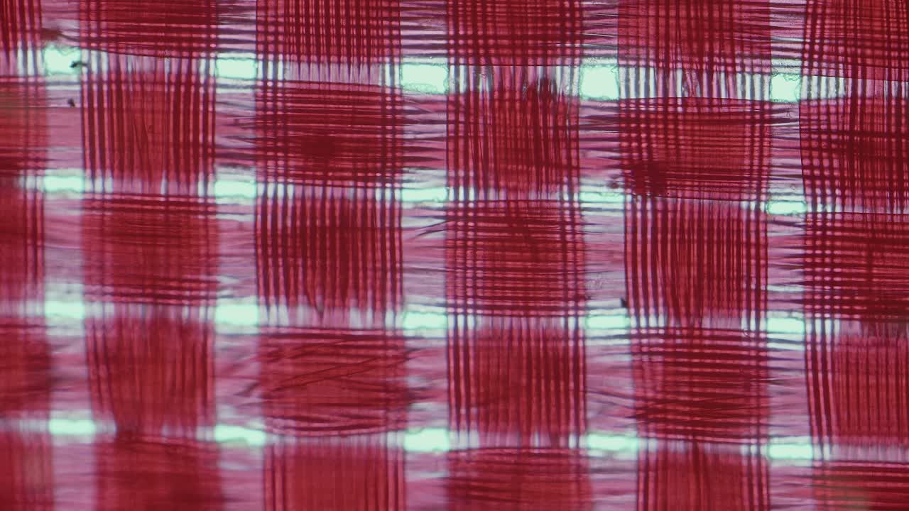 Wet, soaked red fabric fibers backlit under microscope