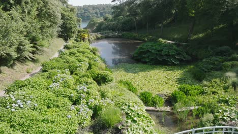 bridge over small stream to lily pad pond in tropical garden in tree-lined valley with pathways on summer day. slow camera flight past bridge.