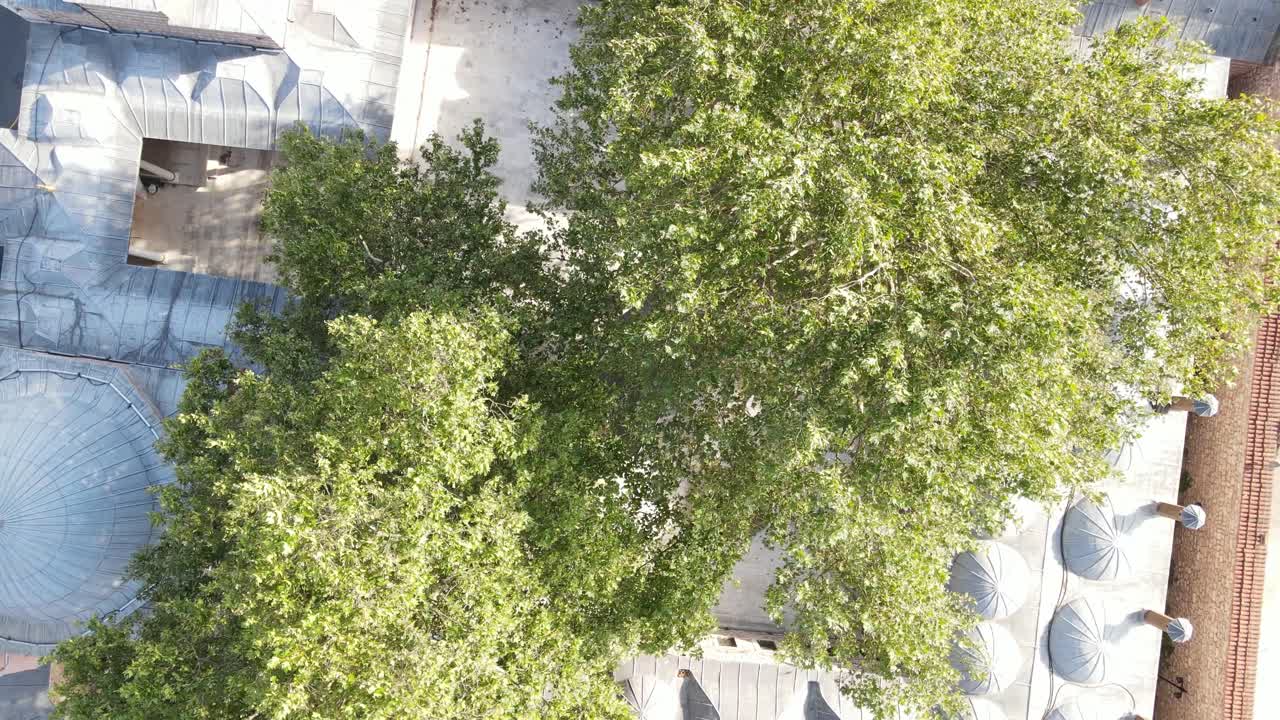 奧斯曼教會 (ottoman madrasah) 的歷史學校