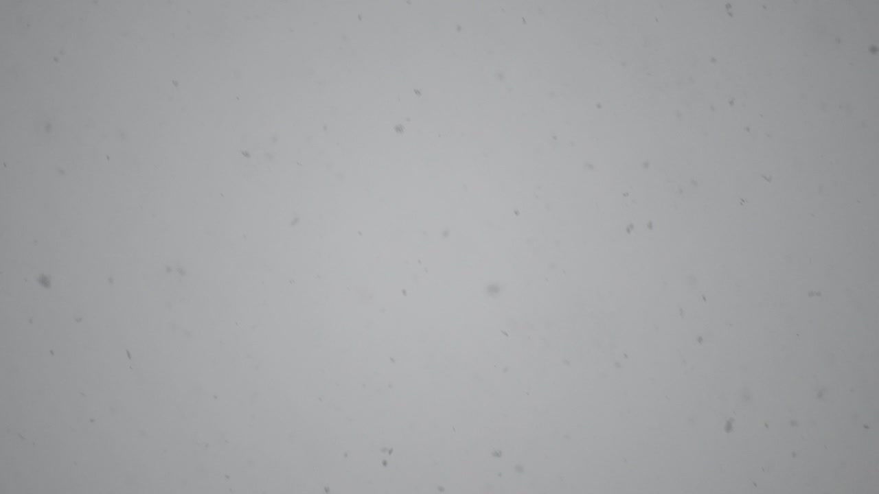 Snowflakes falling down