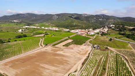 Antenne:-Stadt-Inmitten-Grüner-Weinberge