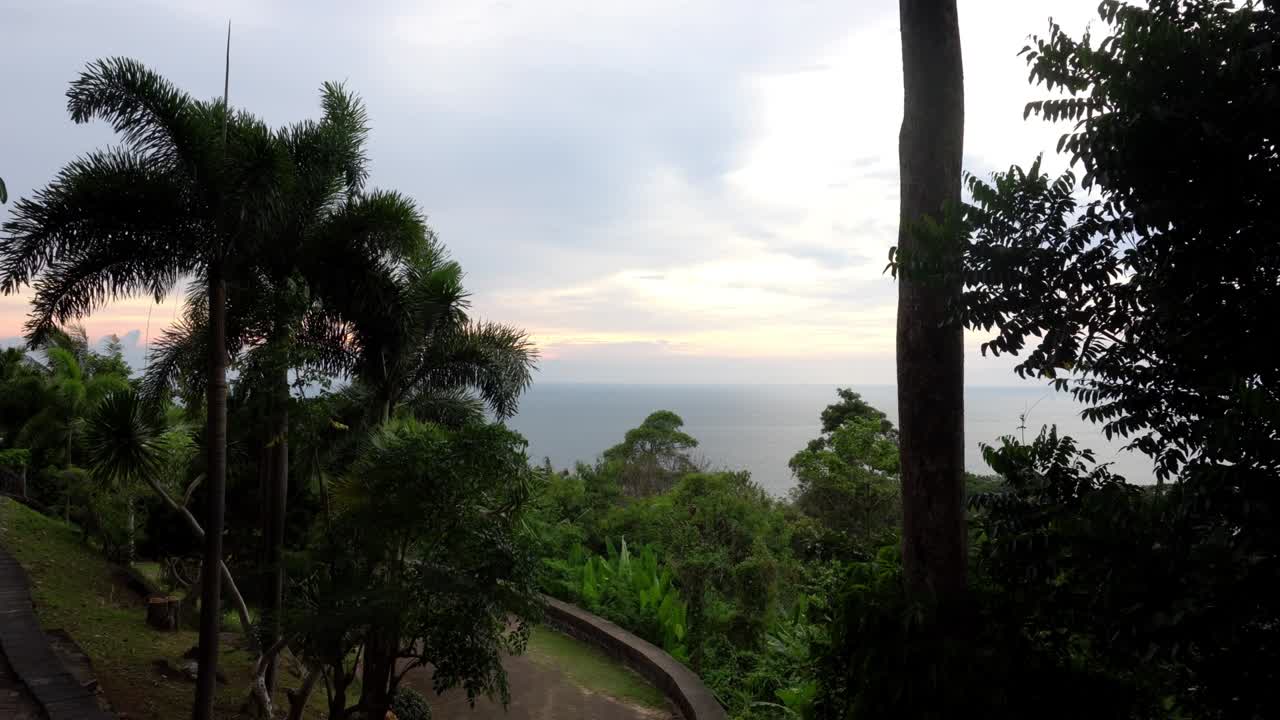 hermosa vista de las palmeras isla del mar y puesta de sol