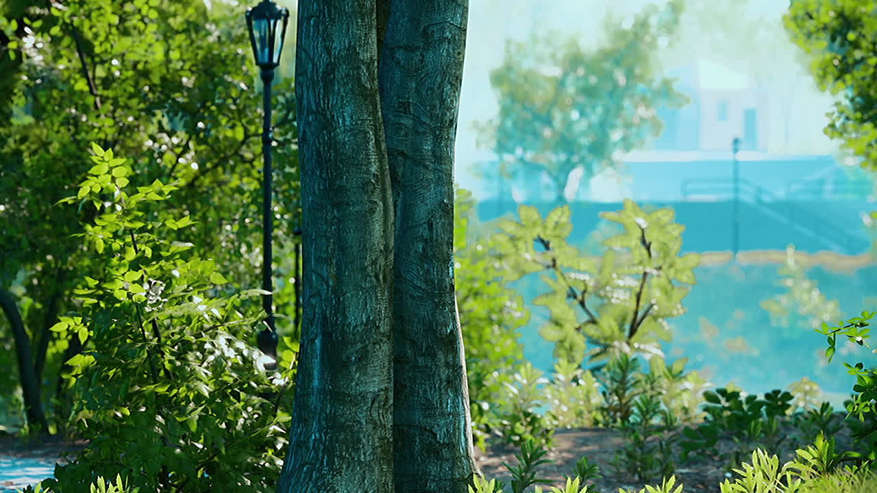 아름다운 여름 공원에서 해가 뜨는 광선