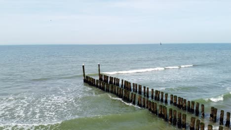 two seagulls sitting on wooden poles of a long groyne reaching into the sea in the netherlands