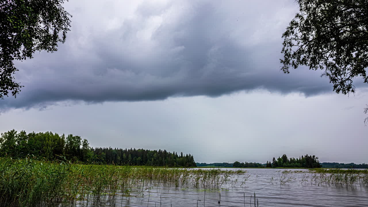 초점에 있는 나무와 함께 호수 위로 이동하는 구름의 영화적 타임스