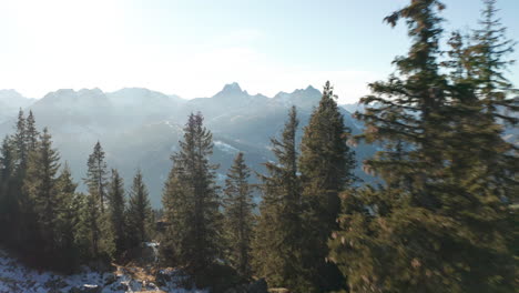 drone flying between pine trees on mountain top and revealing stunning valley
