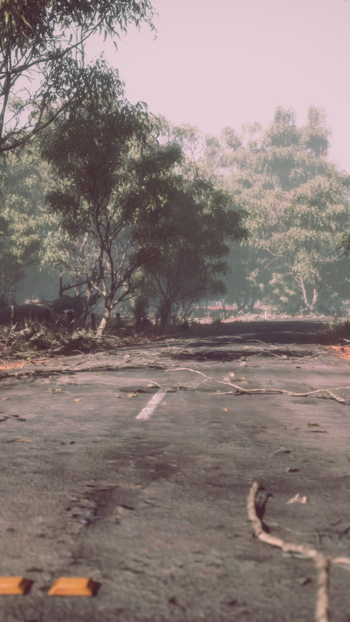 안개 숲 에 있는 고 버려진 도로